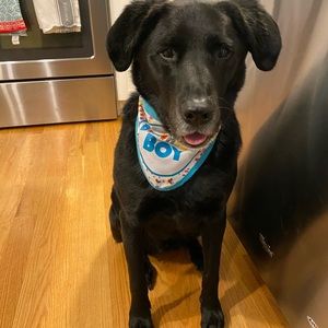 Meet your Posher, Ann